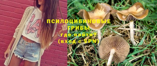 метадон Арсеньев