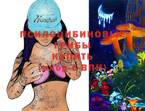 метадон Арсеньев