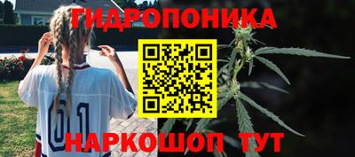 эйфоретик Можайск