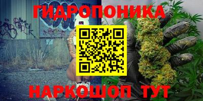 бошки Можга