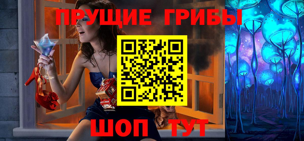 Псилоцибиновые грибы Cubensis Балашиха